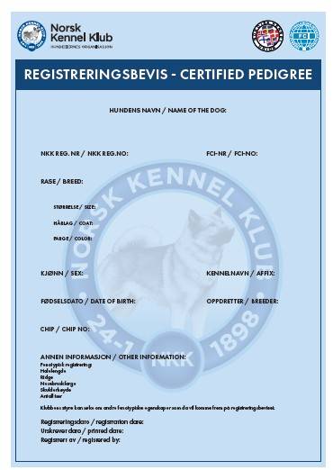 Registreringsbevis side 1