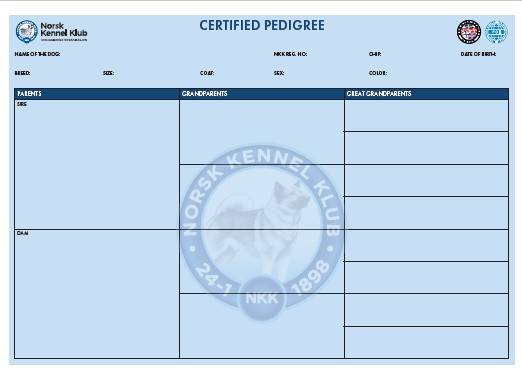 registreringsbevsi side 2